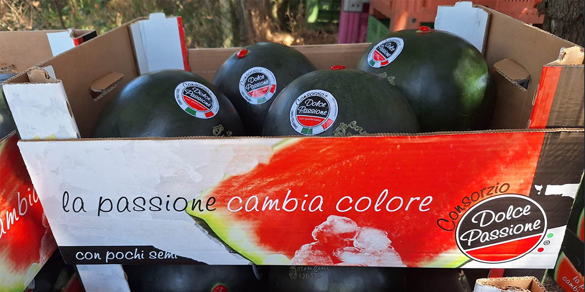 Dolce Passione punta in alto: più sostenibilità, più innovazione, più estero